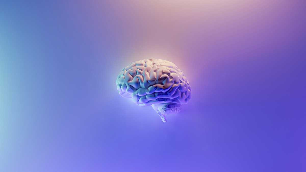 Immagine di Viaggio straordinario nel cervello umano