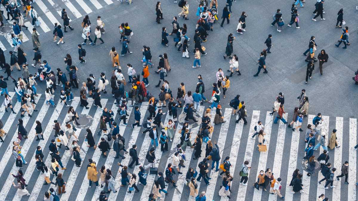 Immagine di La società civile ai raggi X