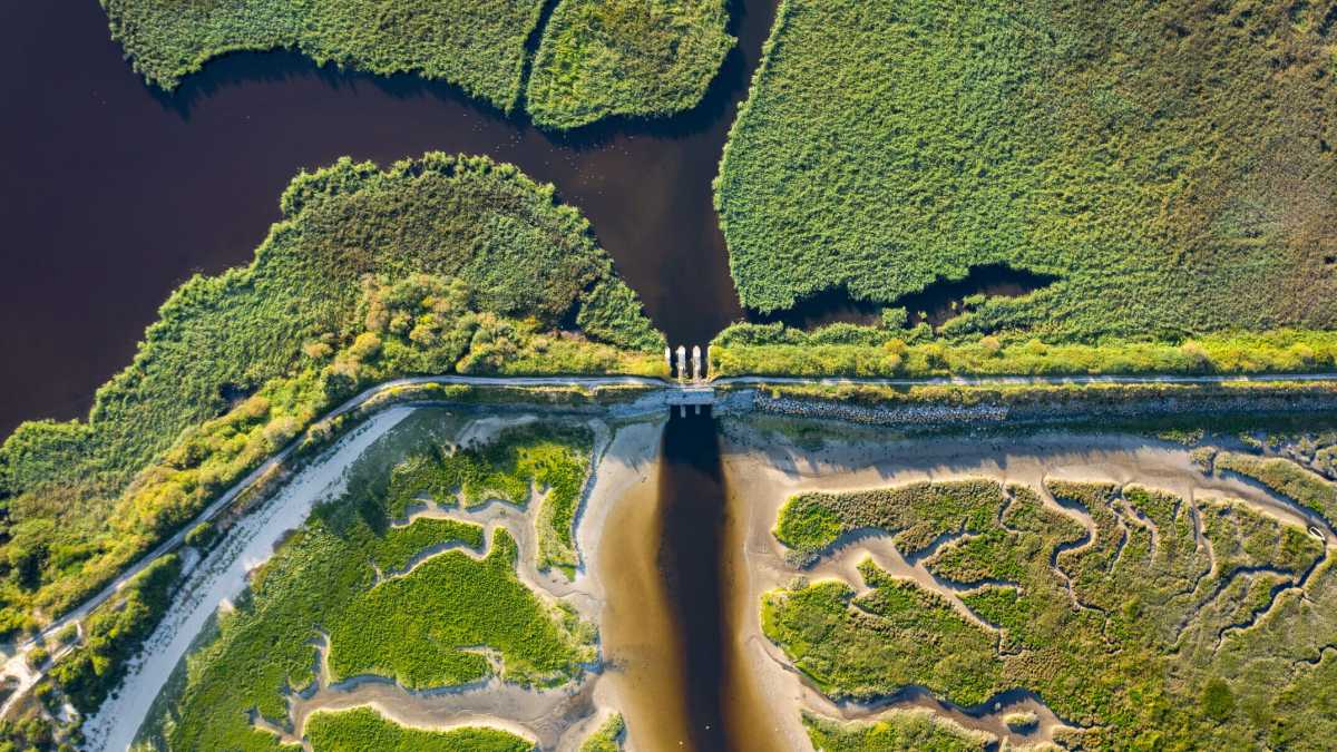 Immagine di Che cos'è davvero la biodiversità? Alcune risposte