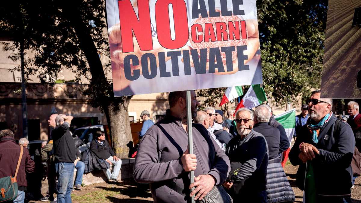Immagine di Perché la carne coltivata è fuori mercato. Per ora
