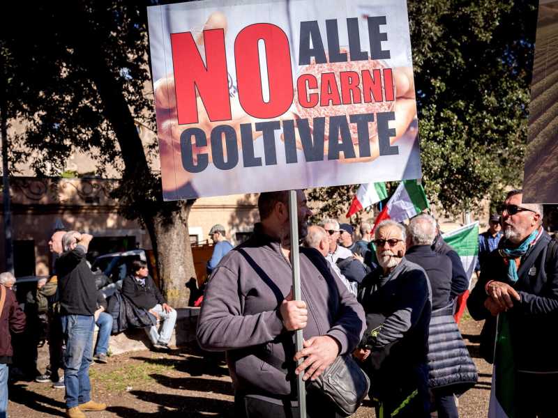Perché la carne coltivata è fuori mercato. Per ora
