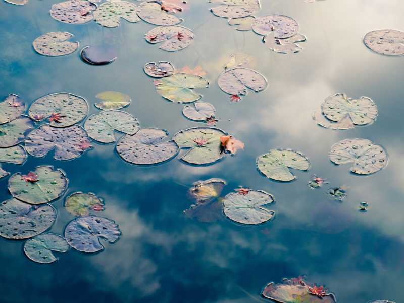 (foto Unsplash)
