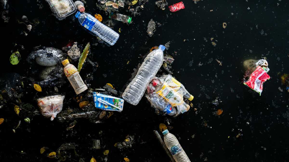 Immagine di Bruxelles è chiara sulla plastica monouso, ma l'Italia pensa di essere più furba