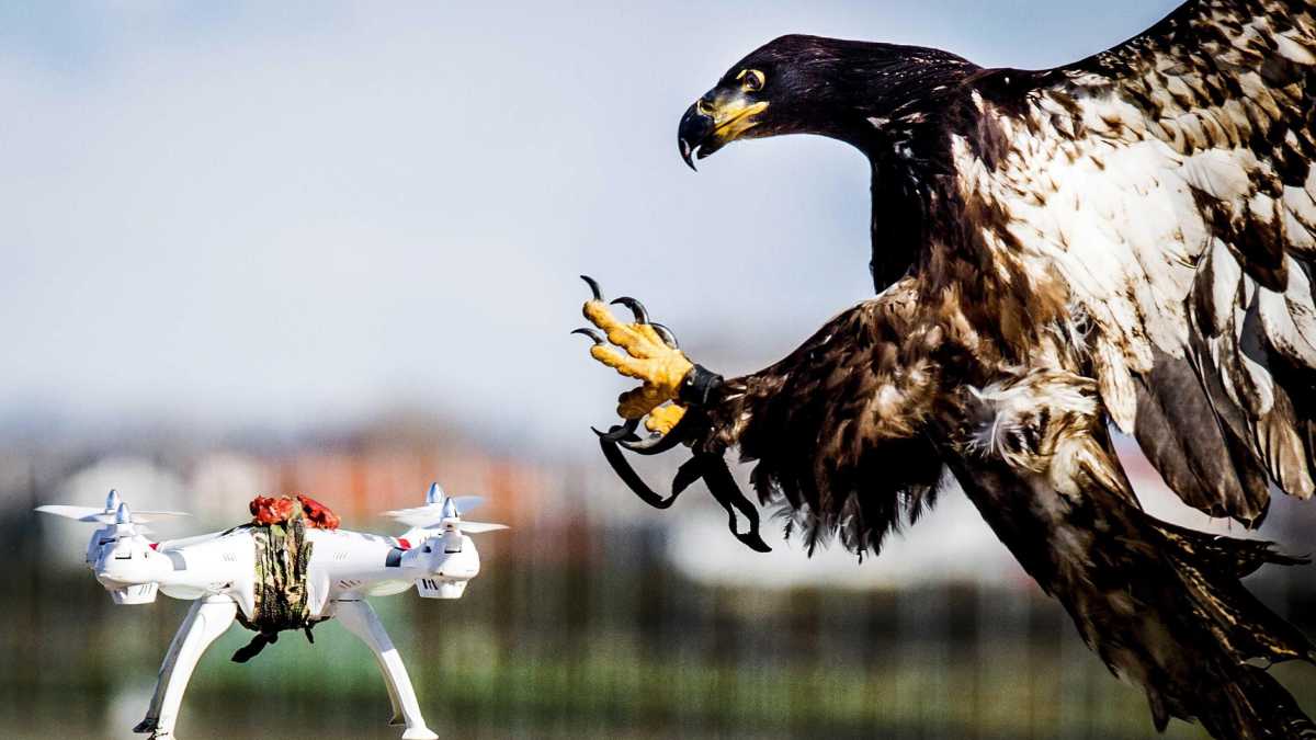 Immagine di Dall’operazione Eagle Claw in Iran alla morte di Lin Biao: quando i conti si regolano ad alta quota