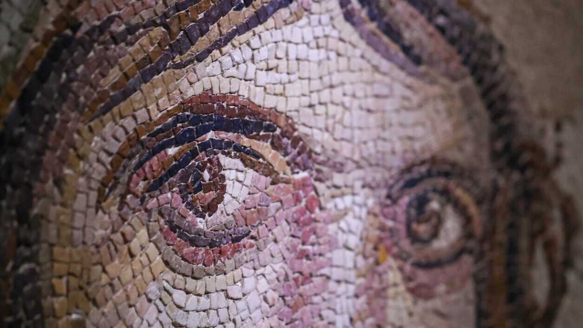 Immagine di Siamo tutti dei "mosaici genetici"