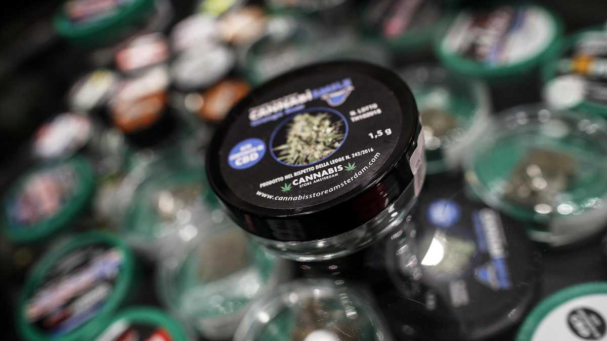 Immagine di Sulla cannabis light il ministro Urso sbaglia: "A rischio 3 mila imprese. Non siamo spacciatori"