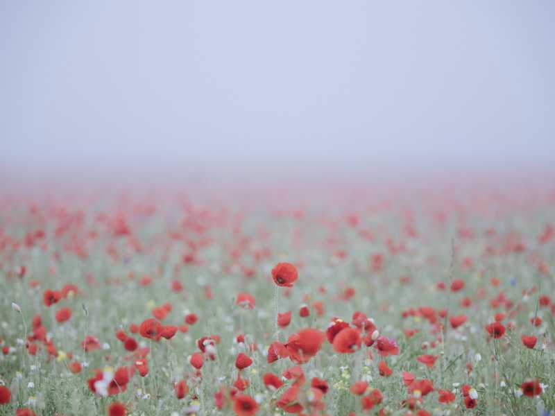 Foto di Matteo Kutufa via Unsplash&nbsp;<br />