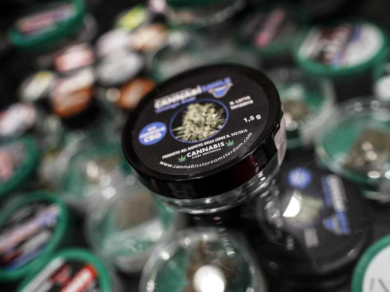 Sulla cannabis light il ministro Urso sbaglia: "A rischio 3 mila imprese. Non siamo spacciatori"