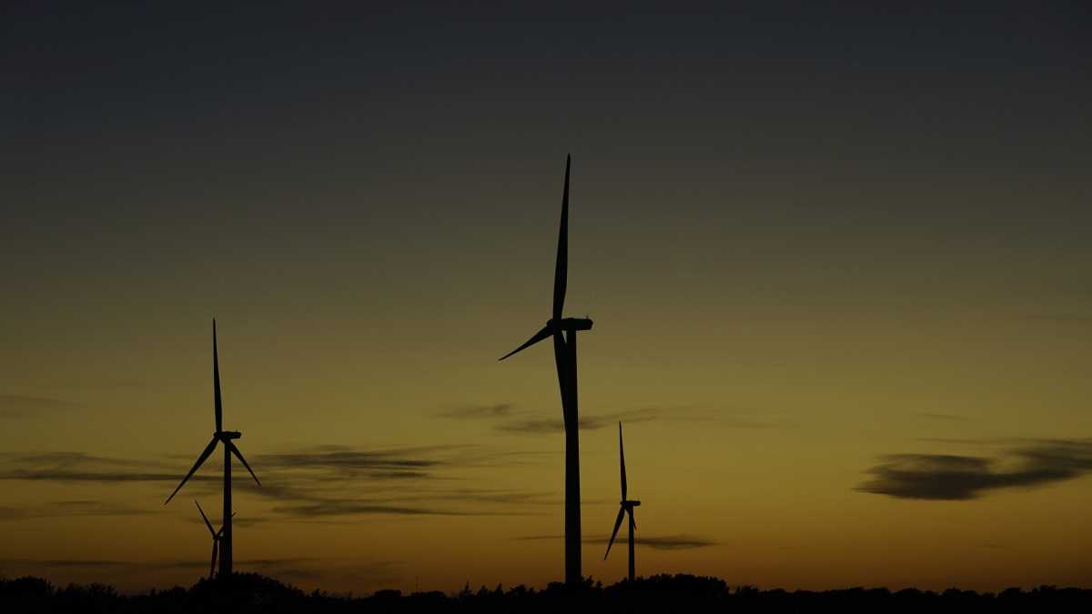 Immagine di I pericoli dei "demoni anti-verdi". Una risposta ad Antonio Pascale