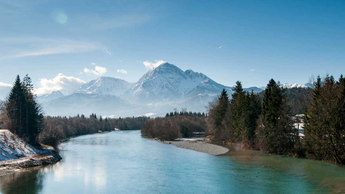 Immagine di Quelli che da morti vogliono esser buttati nei fiumi