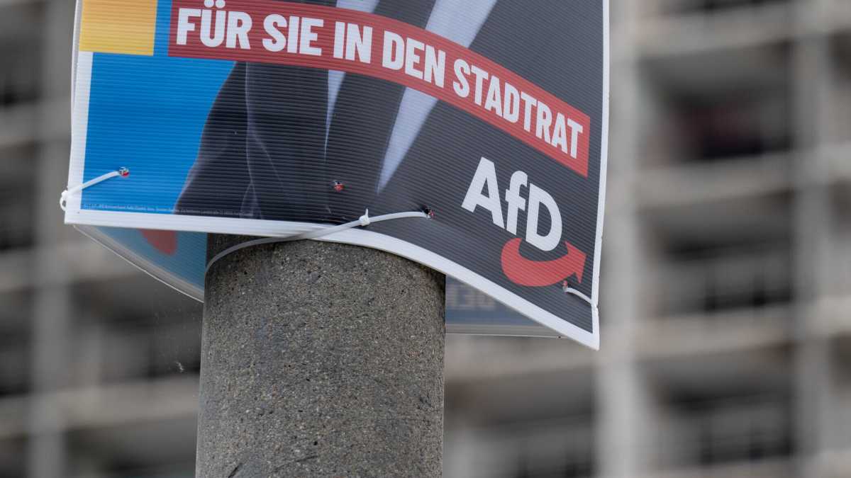 Immagine di Più che un partito, un movimento. Così l’AfD s’è fatta largo in Germania