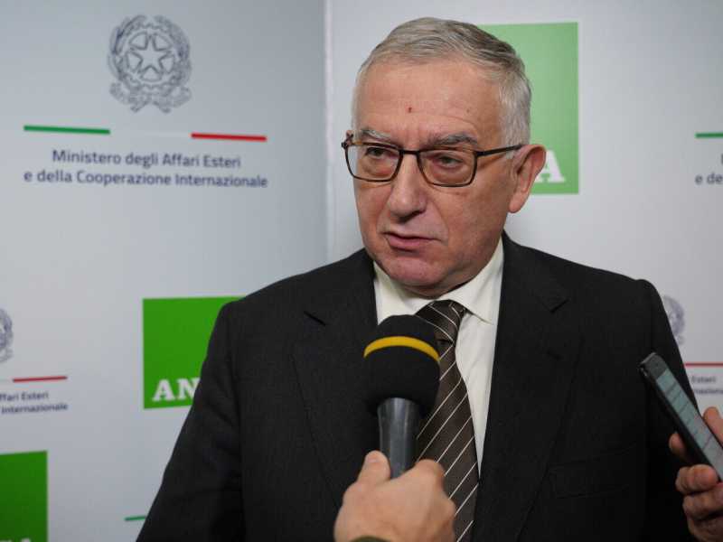 Claudio Graziano (Ansa)