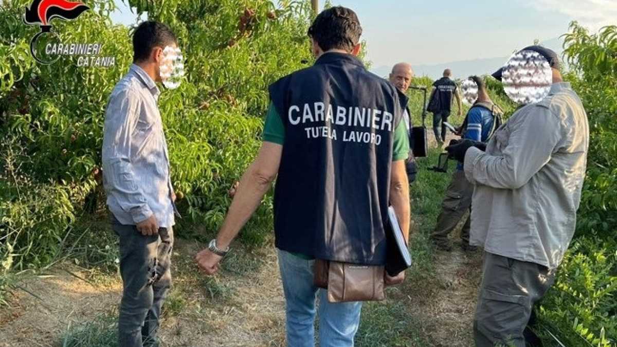 Immagine di La fortuna di non essere direttori di giornale e dover dare certe notizie