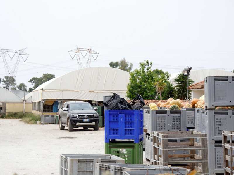 L'Azienda agricola Lovato dove lavorava Satnam Singh (Ansa) <br />
