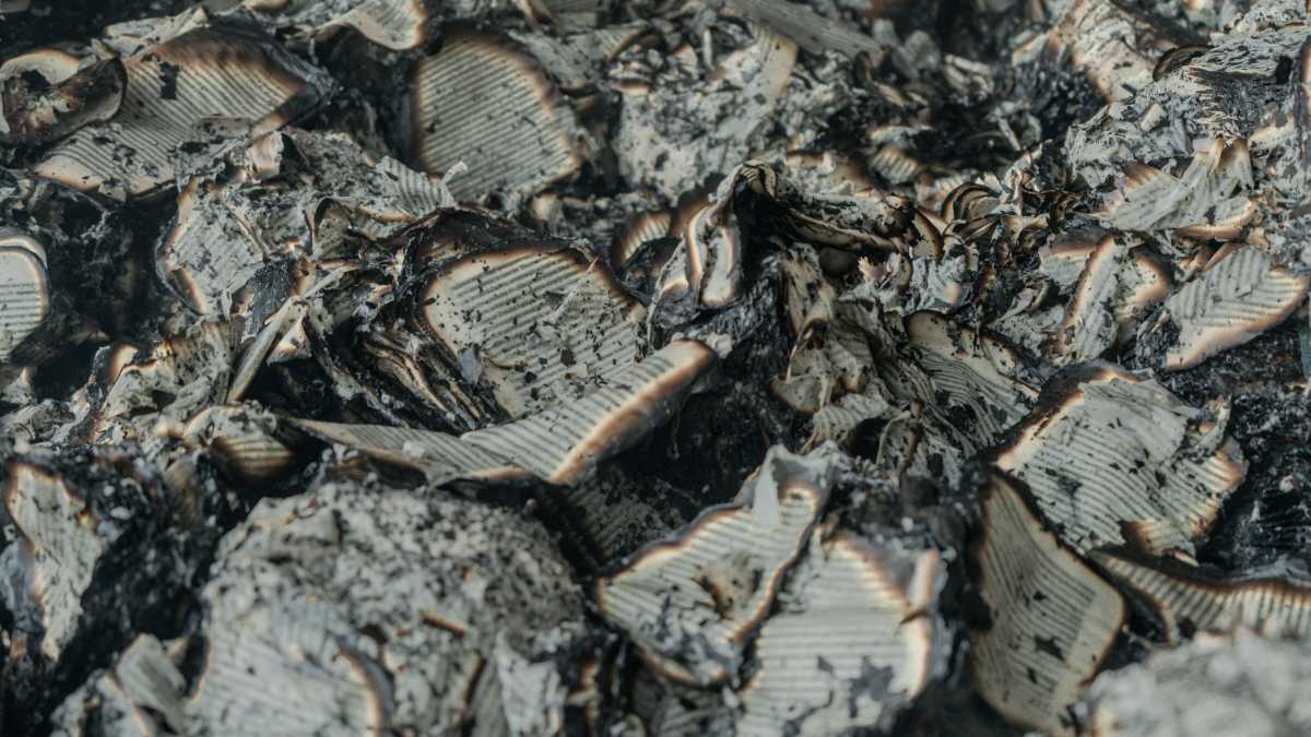 Immagine di Le bombe su Kharkiv bruciano la cultura ucraina: è lo schema russo, da Mariupol a Chernihiv