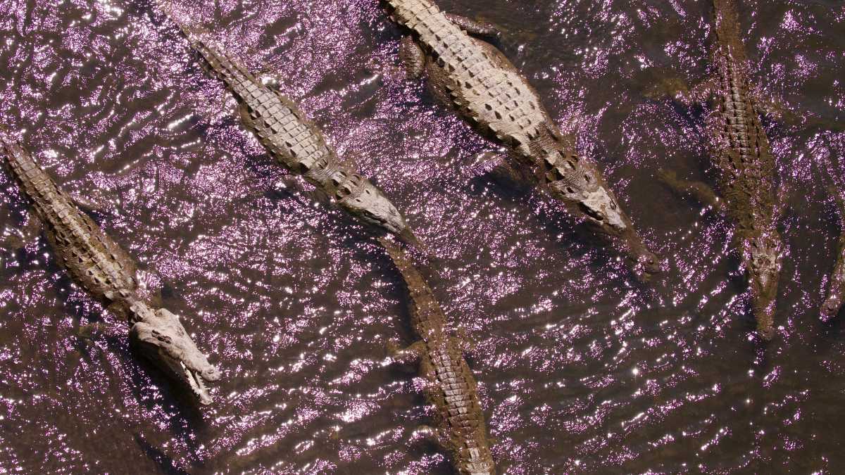 Immagine di Un punto di vista vitale in un orizzonte funerario: questo è "Paradiso"