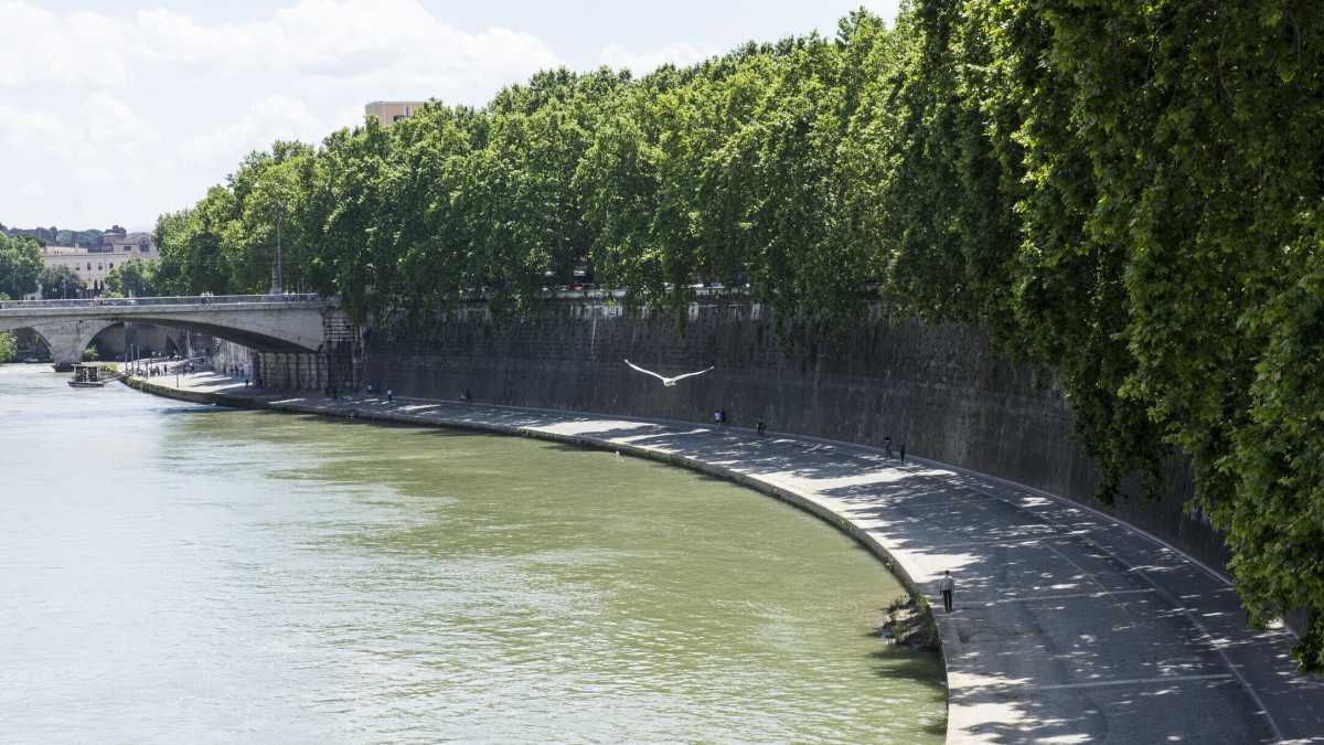 Immagine di Scomparsa la ciclabile sul Tevere, in compenso ci sono le tendopoli