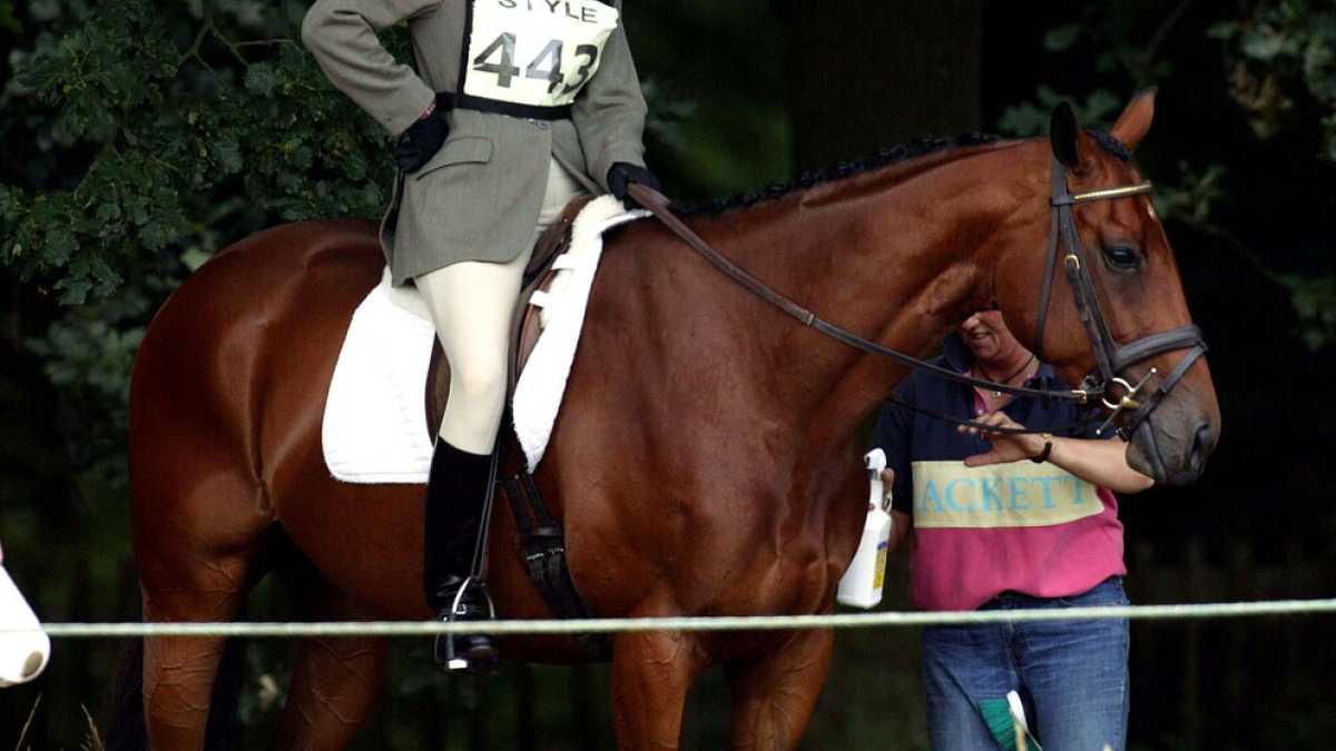 Immagine di E un cavallo mise fuori combattimento la più stakanovista dei Windsor