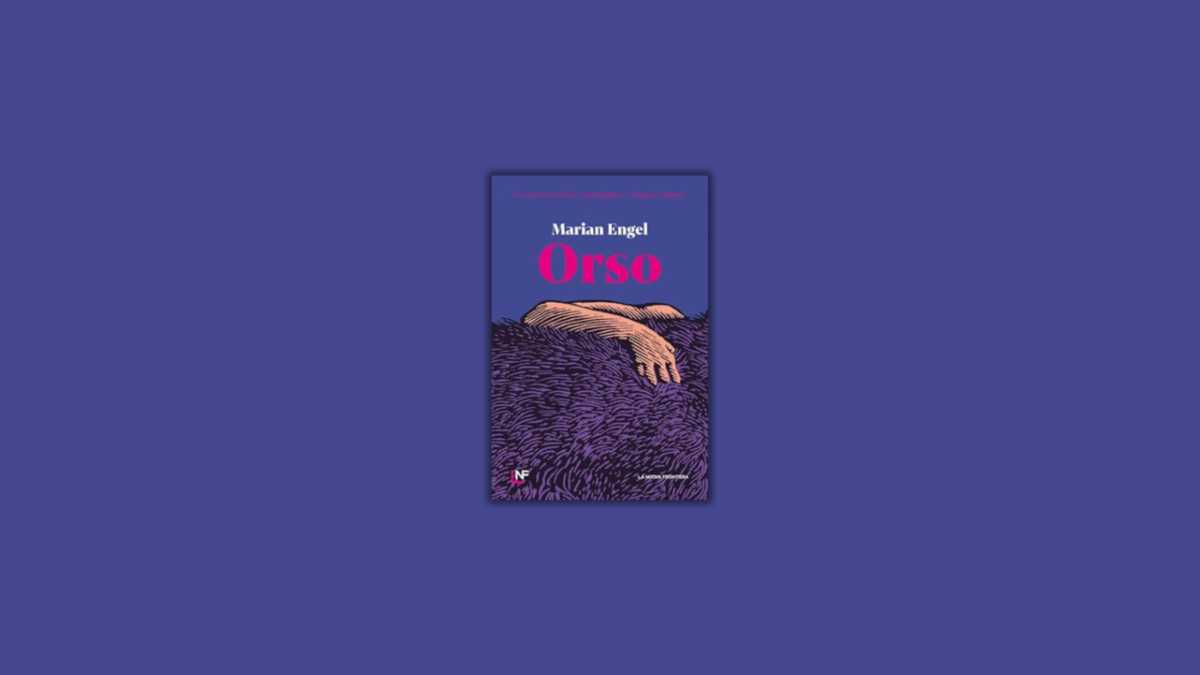 Immagine di Orso