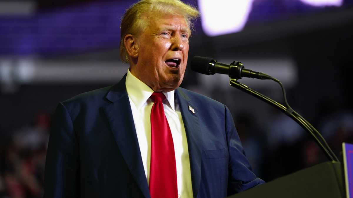 Immagine di Le alleanze alla Corte americana