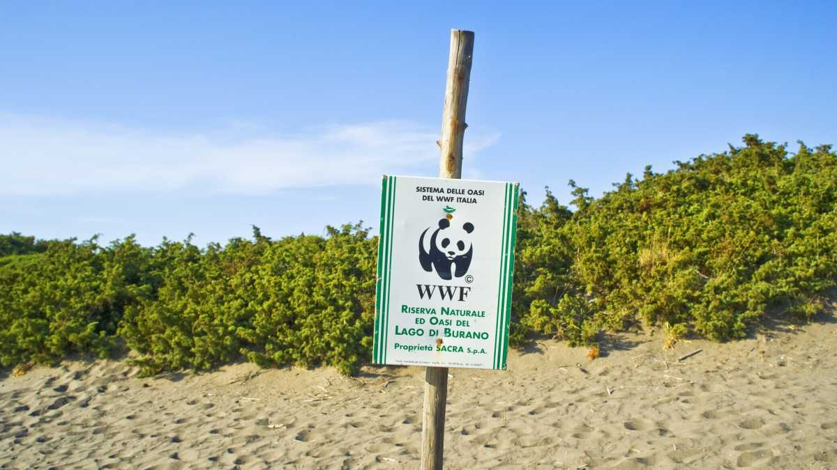 Immagine di Le stime del Wwf sulla diminuzione della diversità dei vertebrati dovranno essere riviste
