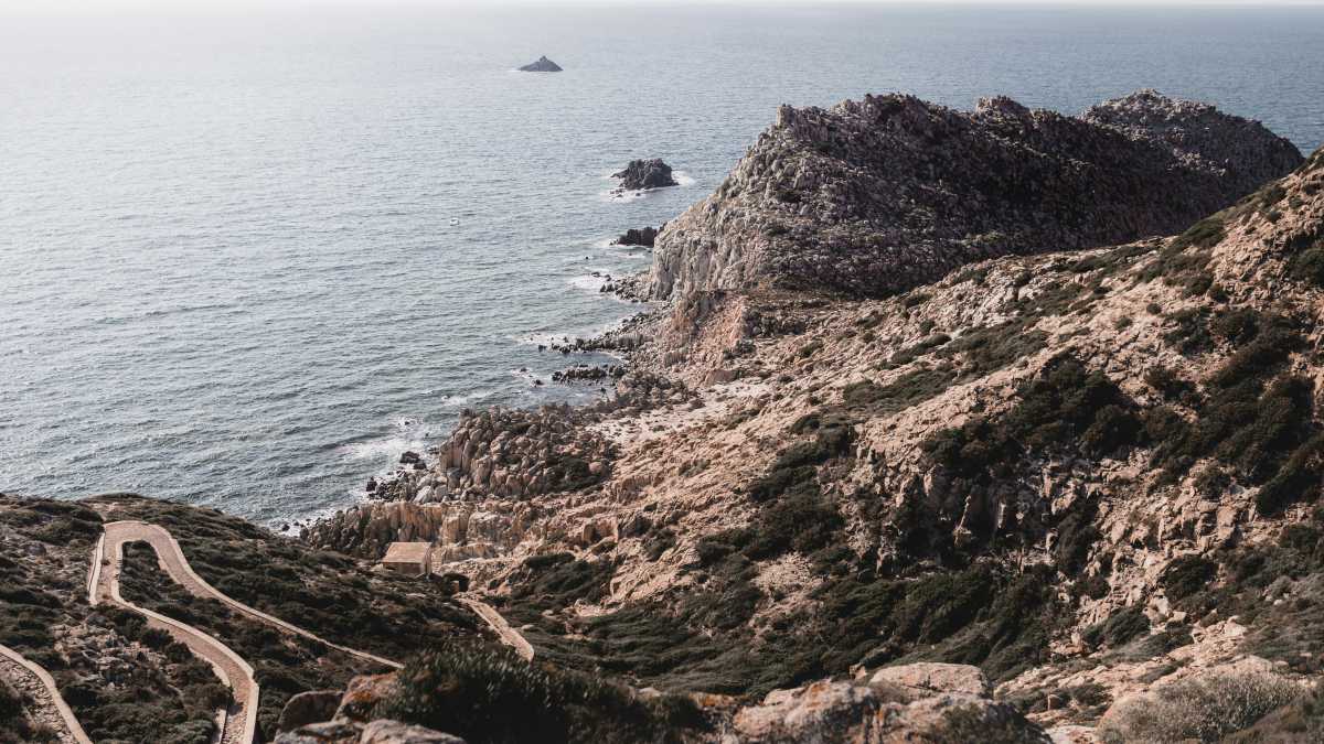 Immagine di Una terra solitaria che ora ti pare salva. Una lettera da lontano
