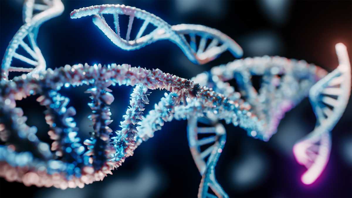 Immagine di Il 95 per cento del nostro genoma è "Dna spazzatura" o "materia genetica oscura"? Nulla del genere