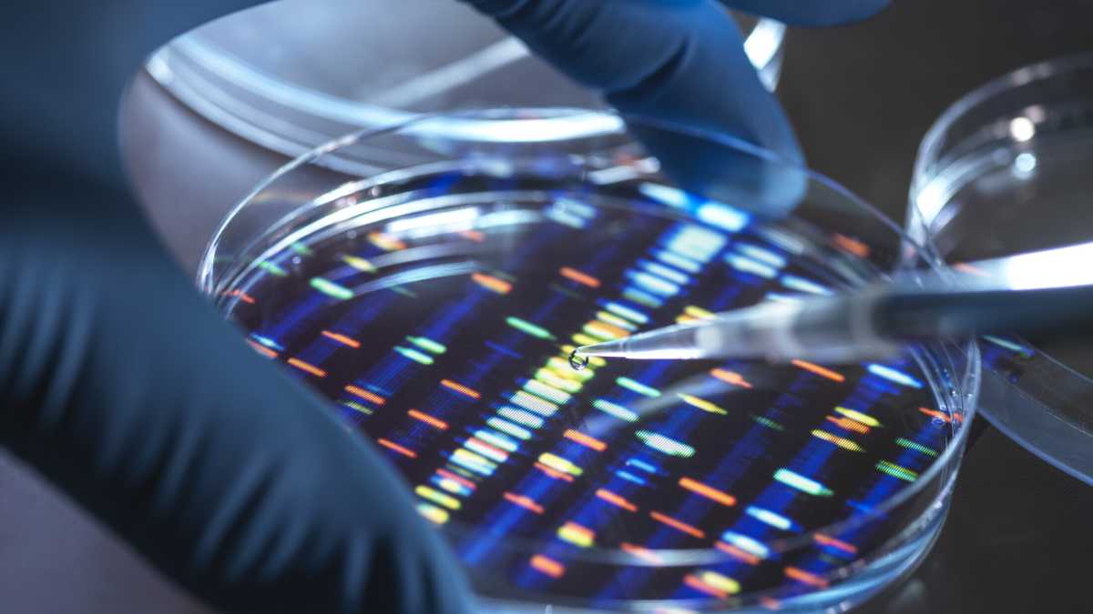 Immagine di Un rituale di 12.000 anni fa