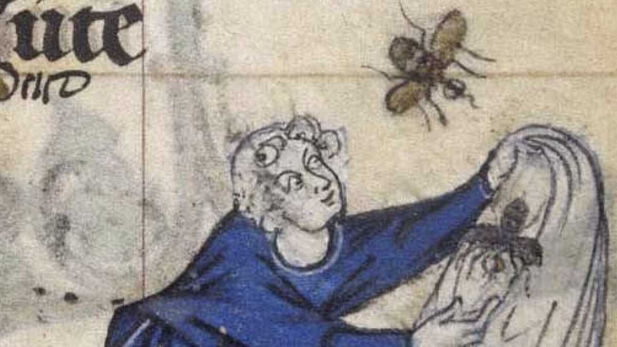 Immagine di Un'altra guida completa per prendersi un bel parassita