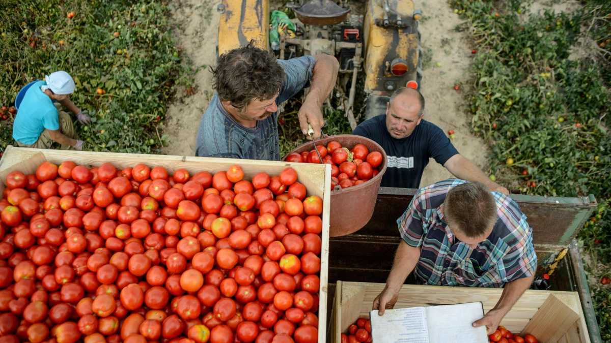 Immagine di L’esaltazione del prodotto tipico, un tic di chi vorrebbe “farci vivere di turismo”