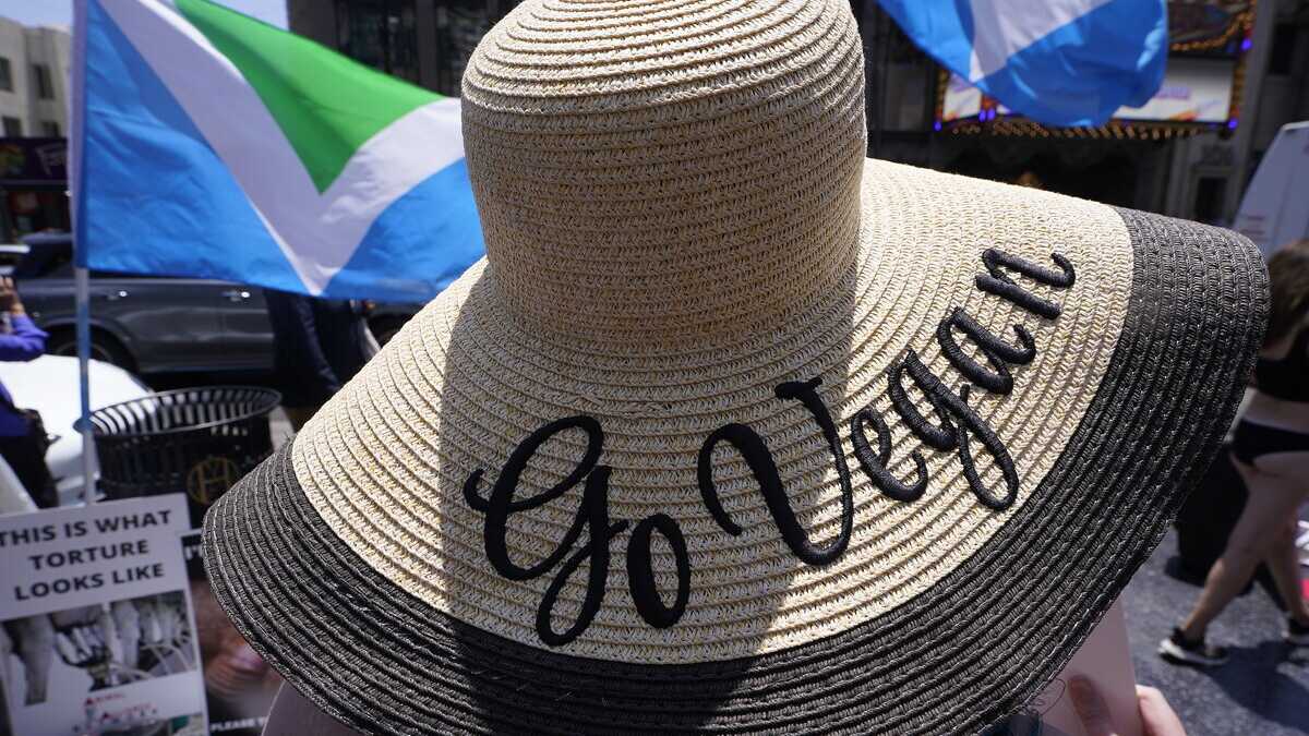 Immagine di Una telefonata per farsi due risate sul veganismo. Ma anche per rifletterci su