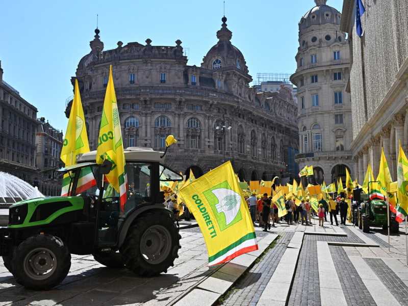 (foto Ansa)