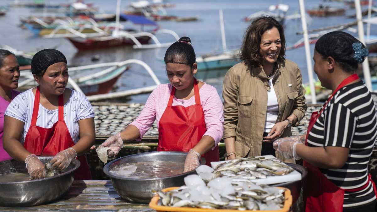Immagine di Il fattore Indo-Pacifico nella costruzione di Kamala Harris