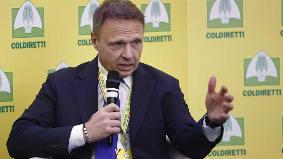 Immagine di La faida e la figuraccia italiana degli agricoltori a Bruxelles. Lollobrigida: "Prevalga l'armonia"