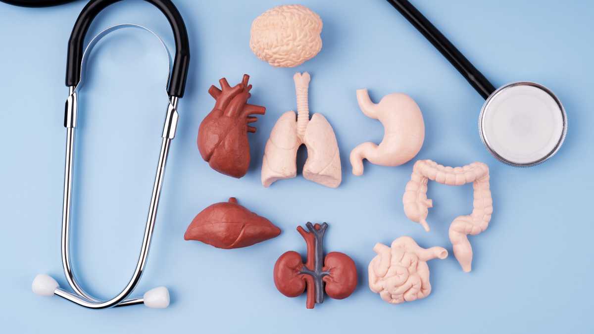 Immagine di Al consenso alla donazione degli organi rispondo con un “No” secchissimo