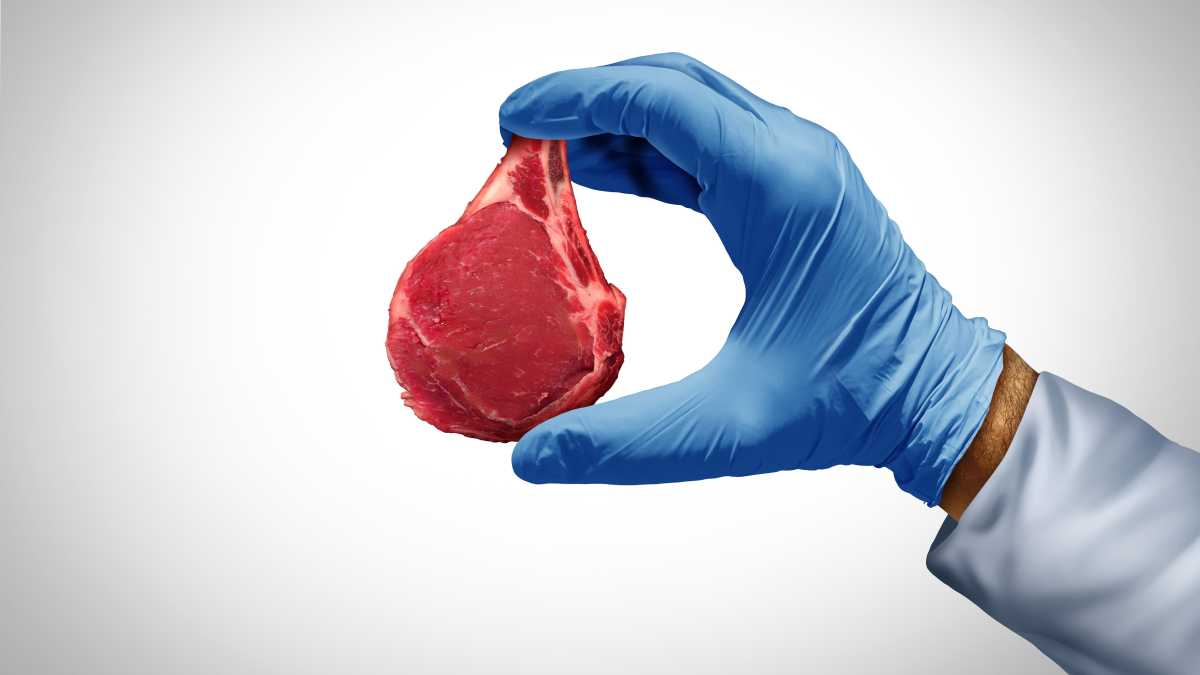 Immagine di La prima "carne sintetica" è pronta. Non sarà la legge fuffa di Lollobrigida a fermarla