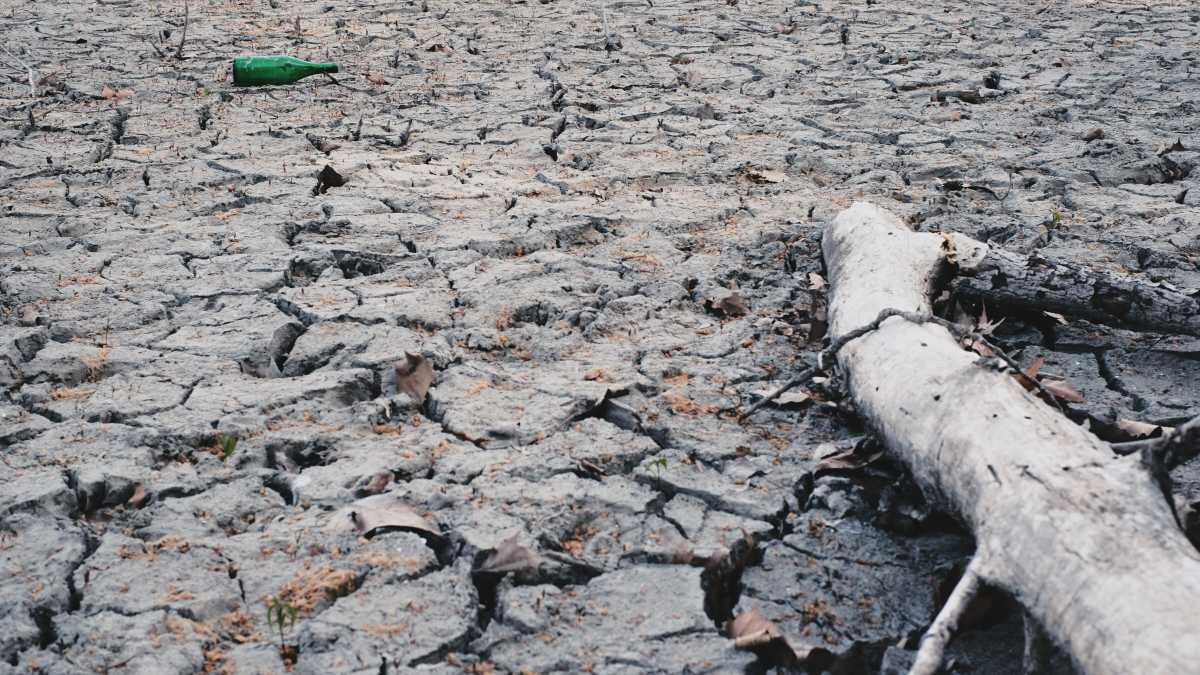 Immagine di La crisi idrica è una crisi politica, non climatica, e la destra ora ne è gravemente complice. Ecco perché