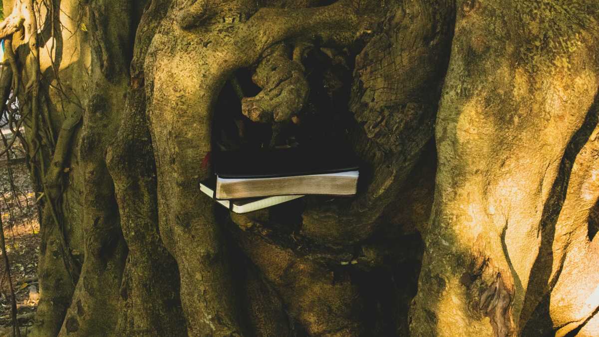 Immagine di Nel taccuino di un professore di latino c’è già tutta la grandezza di Sándor Marai