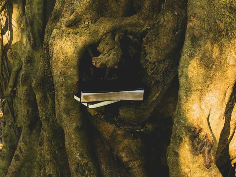 Nel taccuino di un professore di latino c’è già tutta la grandezza di Sándor Marai