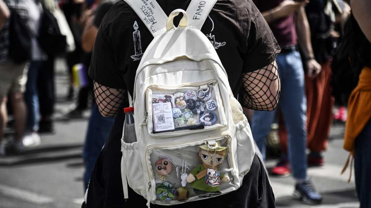 Immagine di Diario di una desistenza di genere