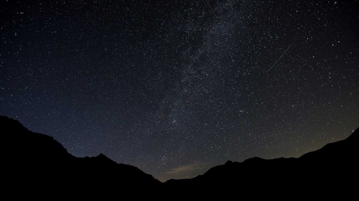 Immagine di "Io?". Ecco il Flamm Doppelgänger