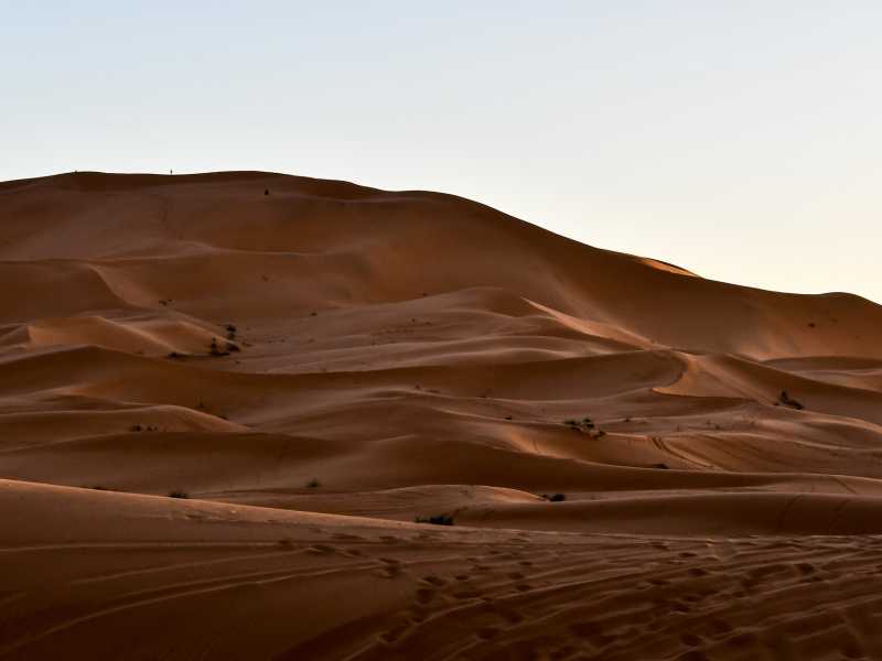 Travolti da un'insolita luce saudita