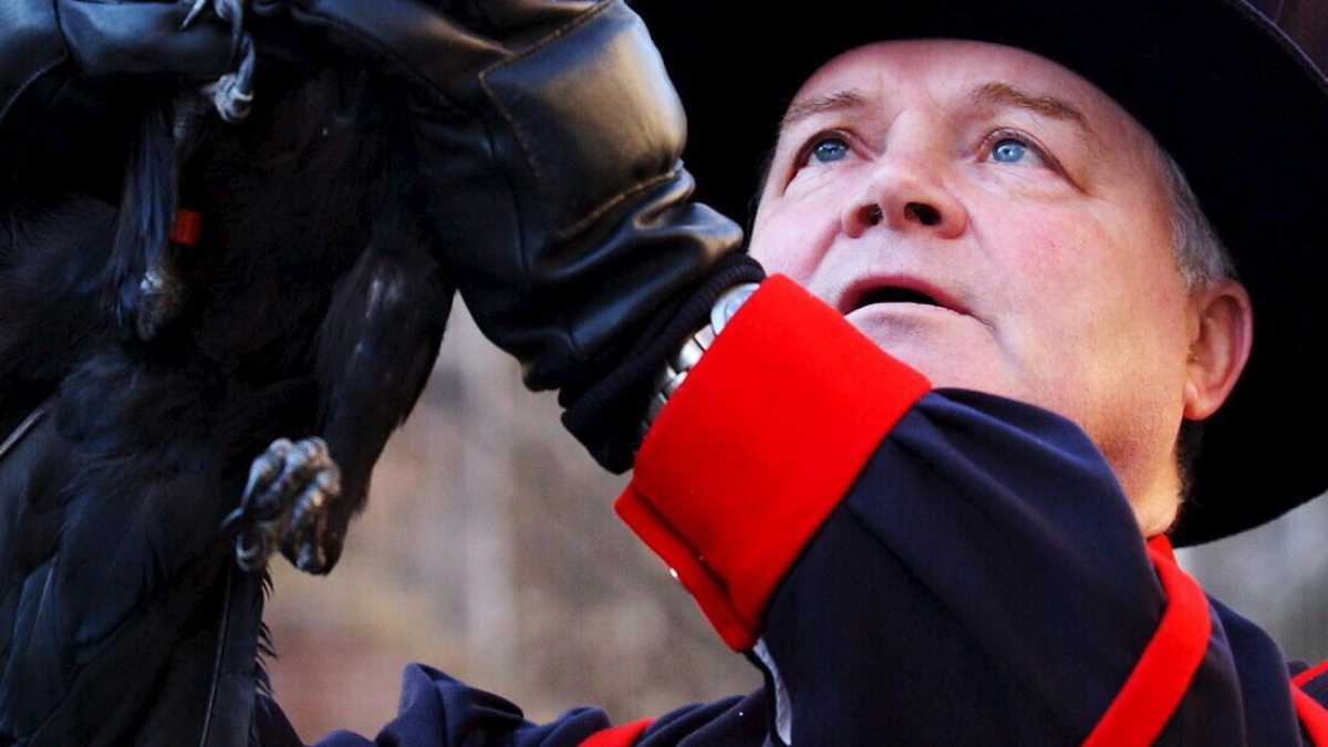 Immagine di Teste di corvo. Come siamo diventati amici delle cornacchie