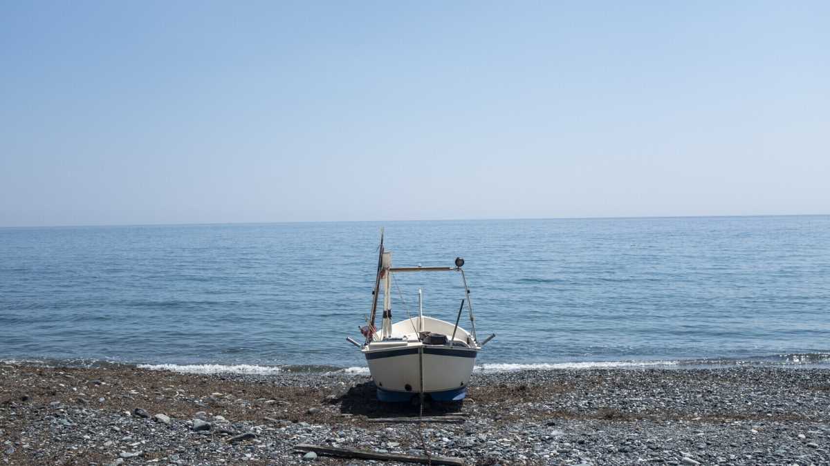 Immagine di Catalogo incompleto di spiaggiati, molesti oppure no. Da Bordighera è (quasi) tutto