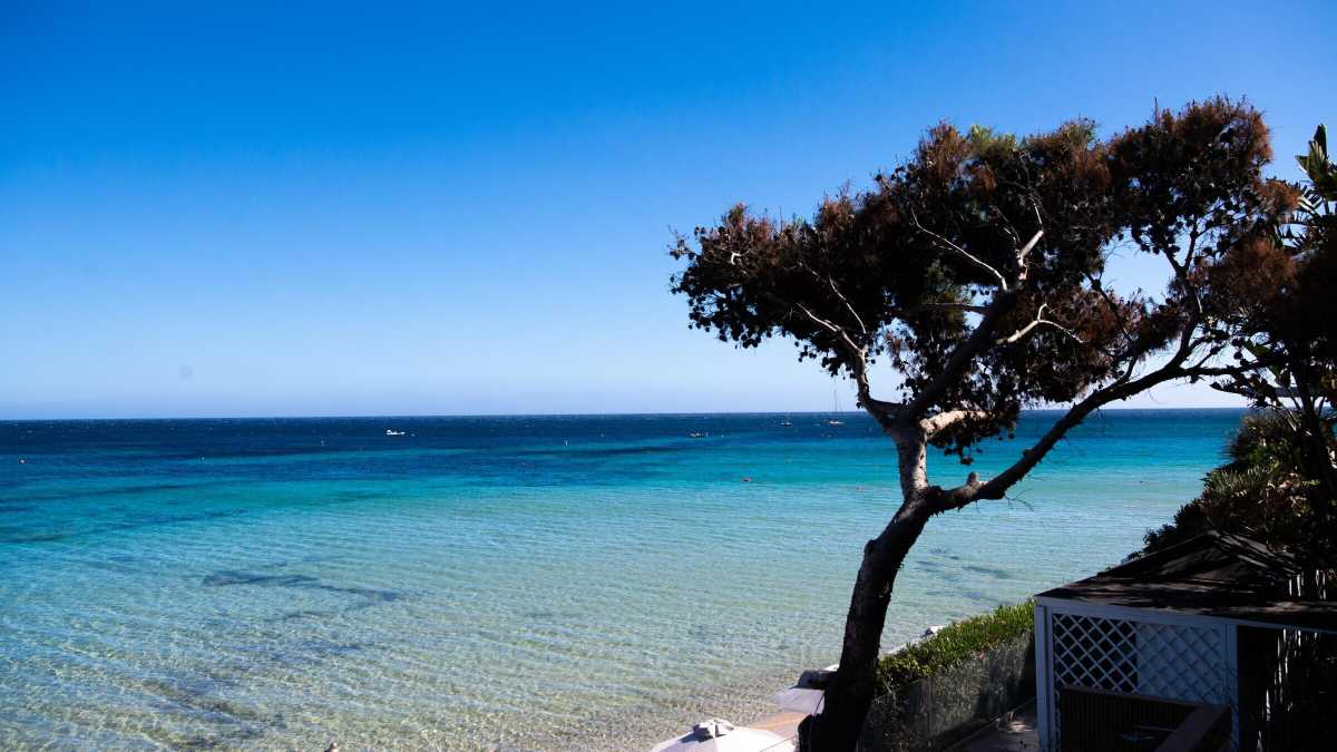 Immagine di La Sardegna vacanza migliore (purtroppo) e altre recensioni tranchant