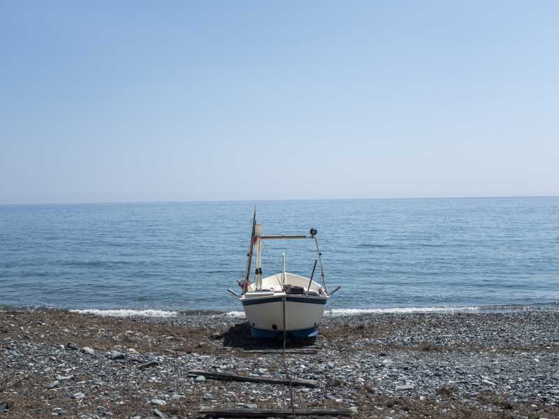 Catalogo incompleto di spiaggiati, molesti oppure no. Da Bordighera è (quasi) tutto