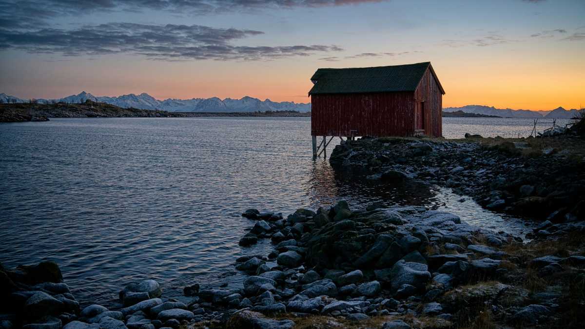 Immagine di La devastante epopea dei divorziati sull'isola dell'obitorio