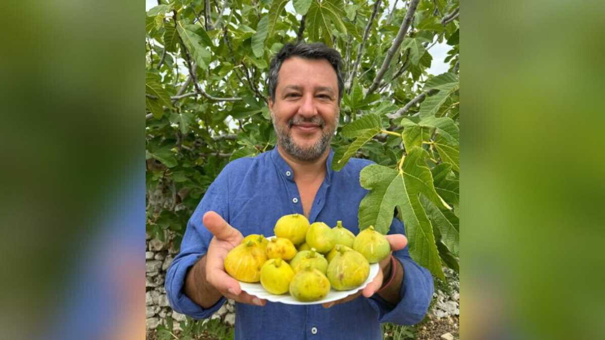 Immagine di Le differenze estive tra Salvini che bercia e non dice niente e Schlein che lascia fare a Renzi