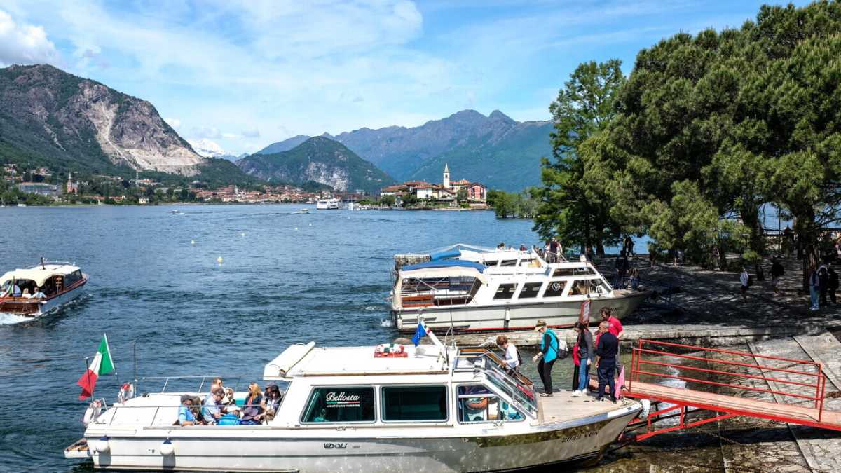 Immagine di Suoni e vita degli alberi del violoncellista Brunello (e anche di Abbado) sul Verbano
