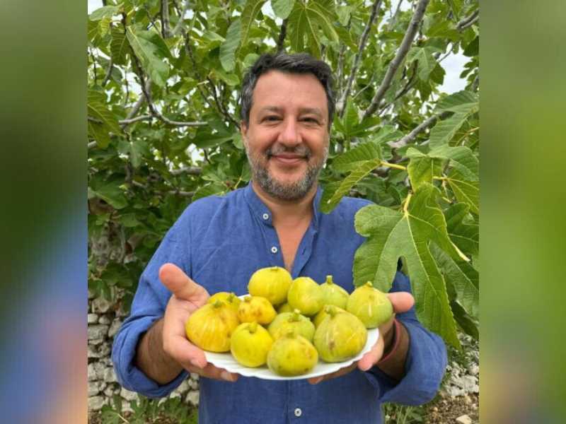  Matteo Salvini con un cesto di fichi - foto Ansa